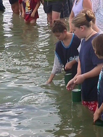 Feeding Dolphin